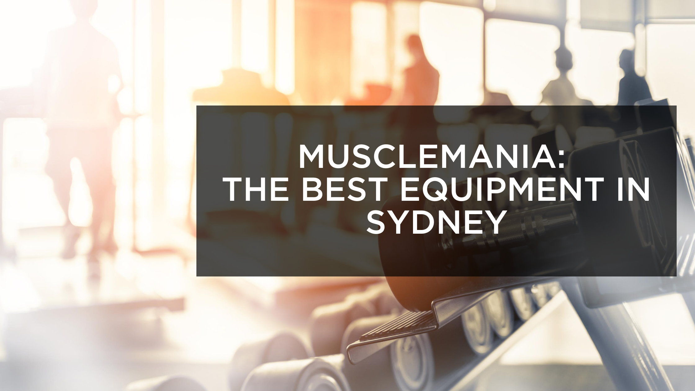 MUSCLE MANIA: THE BEST GYM EQUIPMENT IN SYDNEY