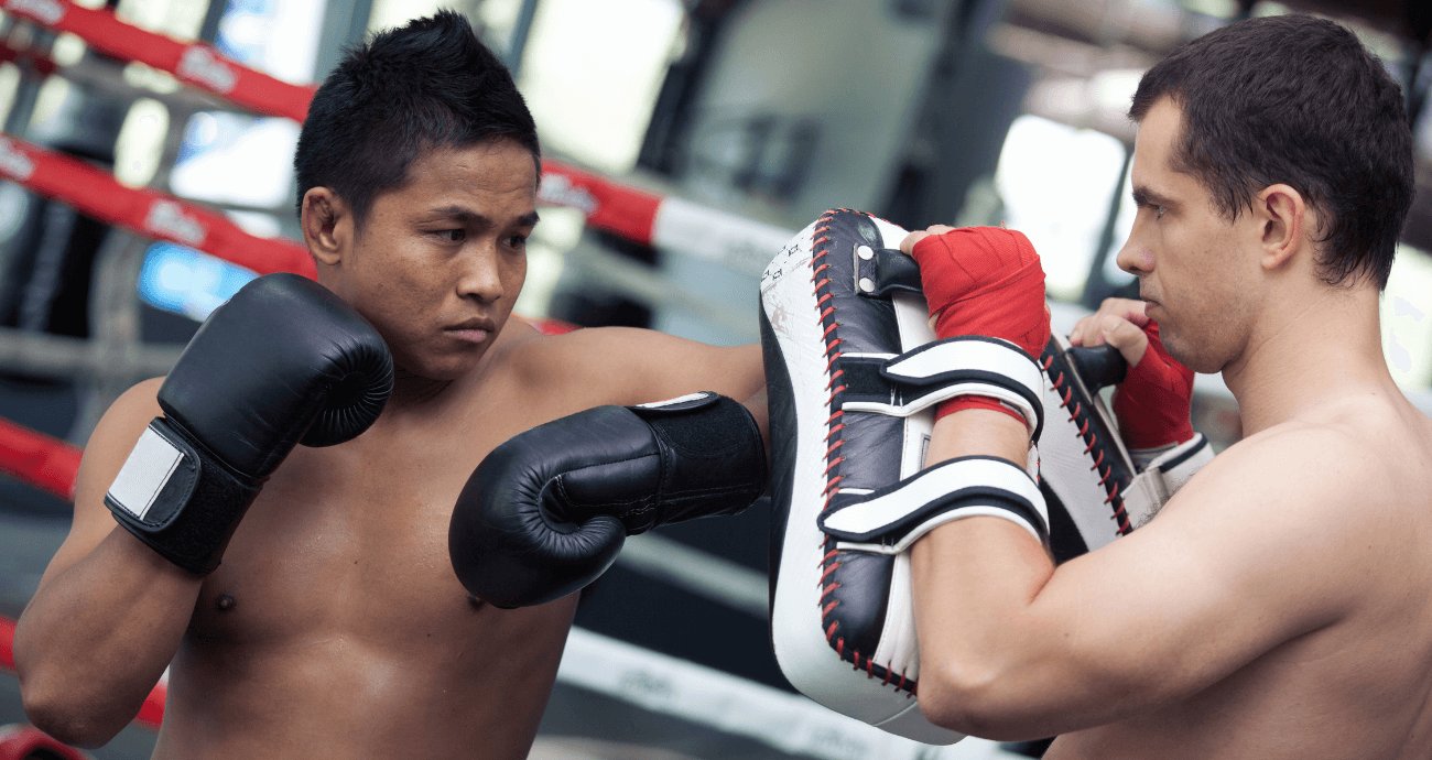 Muay Thai Pads Musclemania Fitness MegaStore