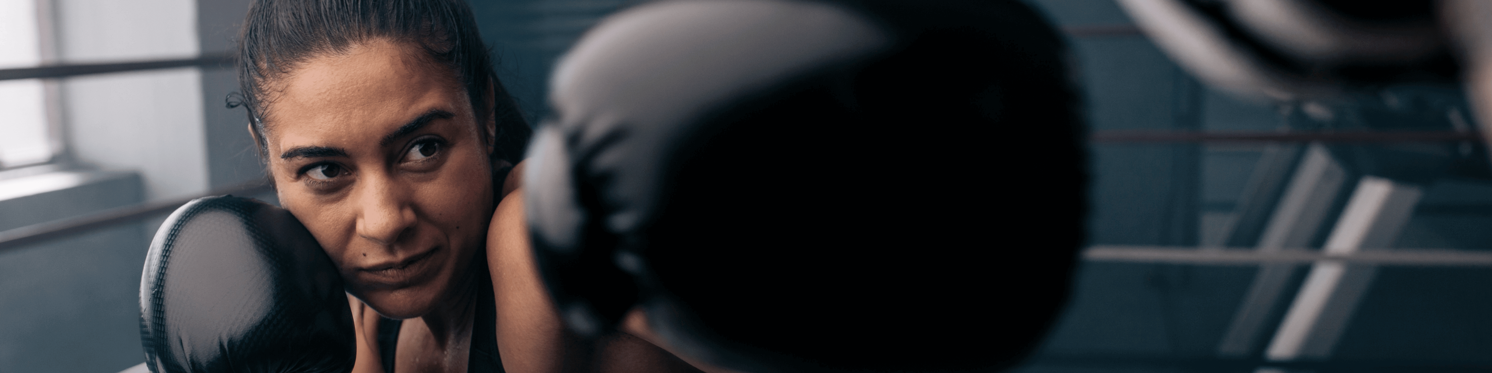 Combat Gloves Australia | Boxing, MMA & Muay Thai Gloves