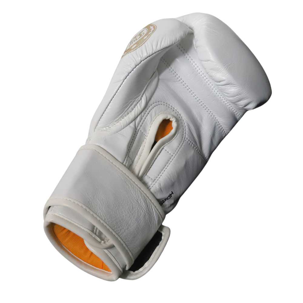 AAA Punch Mexican Lucky 13 Boxing Gloves Musclemania Fitness MegaStore