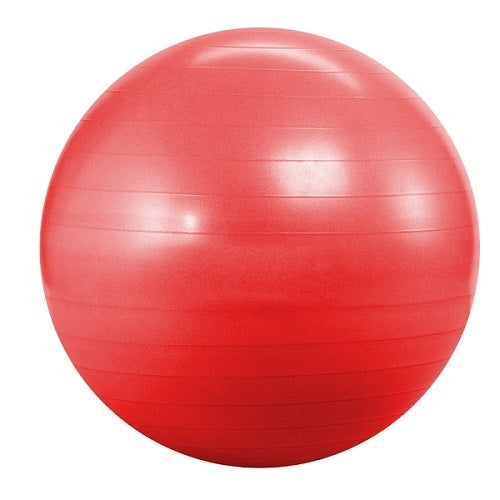 MORGAN GYM BALL 55CM | ANTI BURST EXERCISE BALL FOR CORE TRAINING AND FITNESS