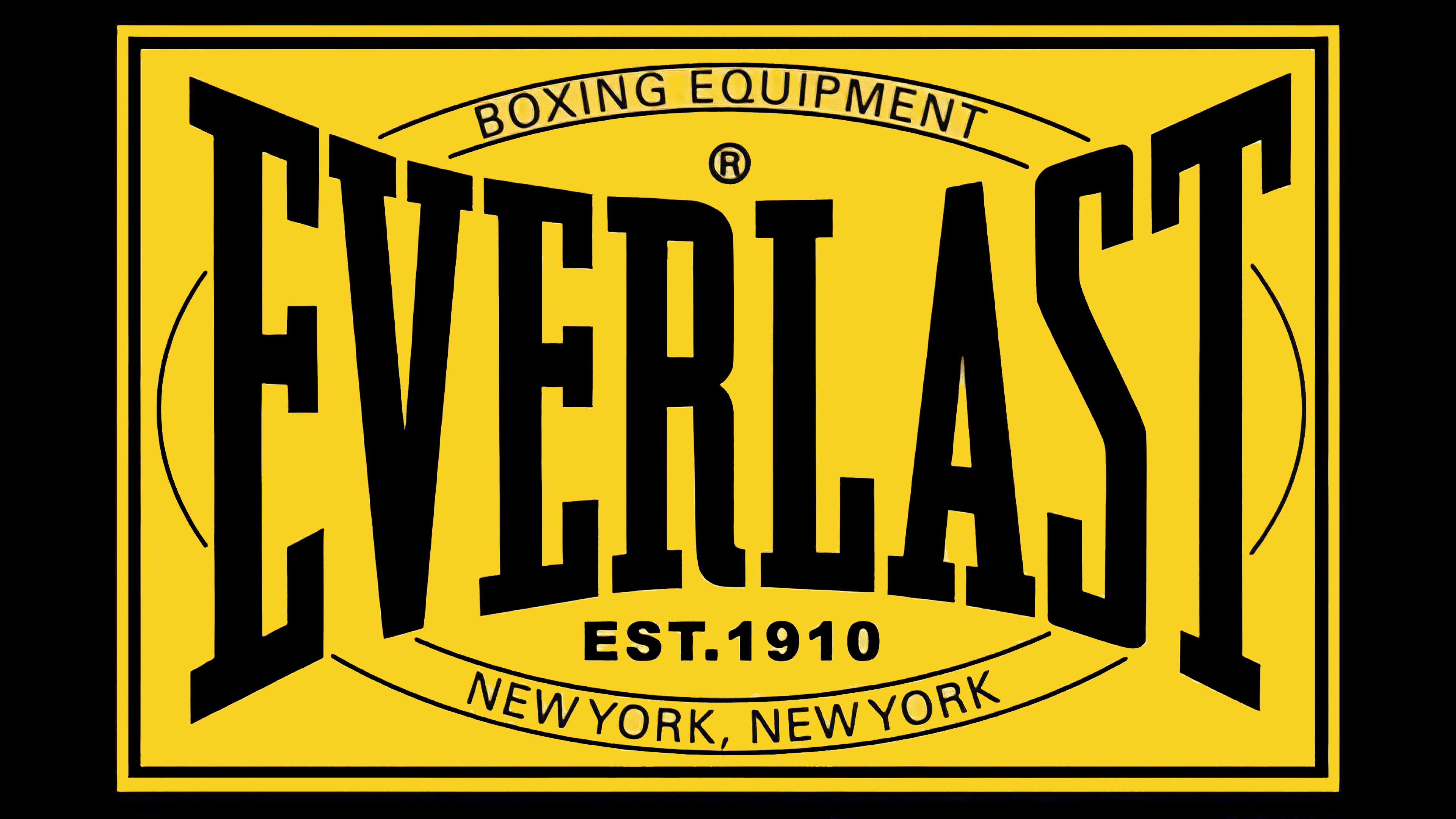 Everlast PIVT Boxing Boots
