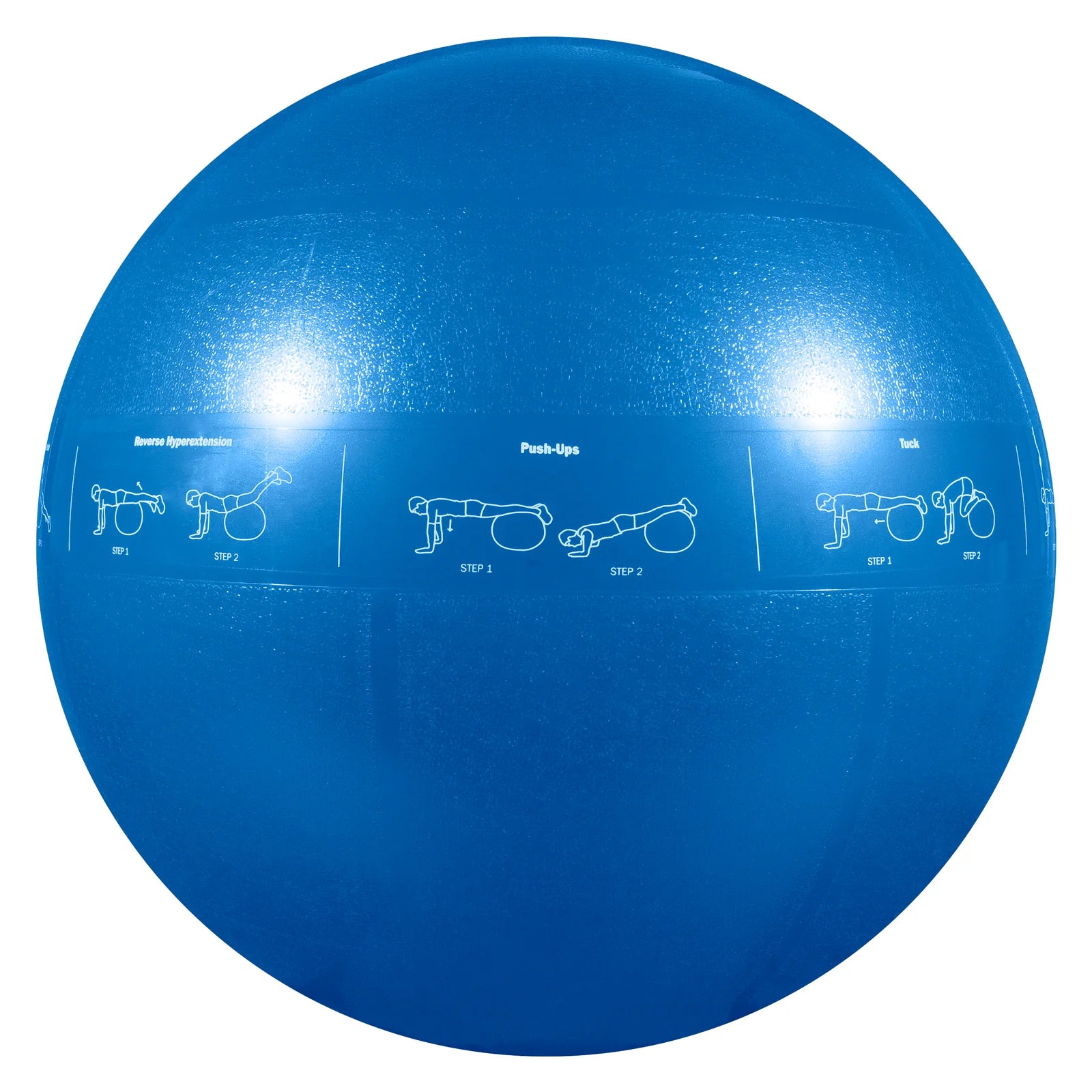 SALE: G0FIT Guide Ball - Pro Grade Stability Fit Ball