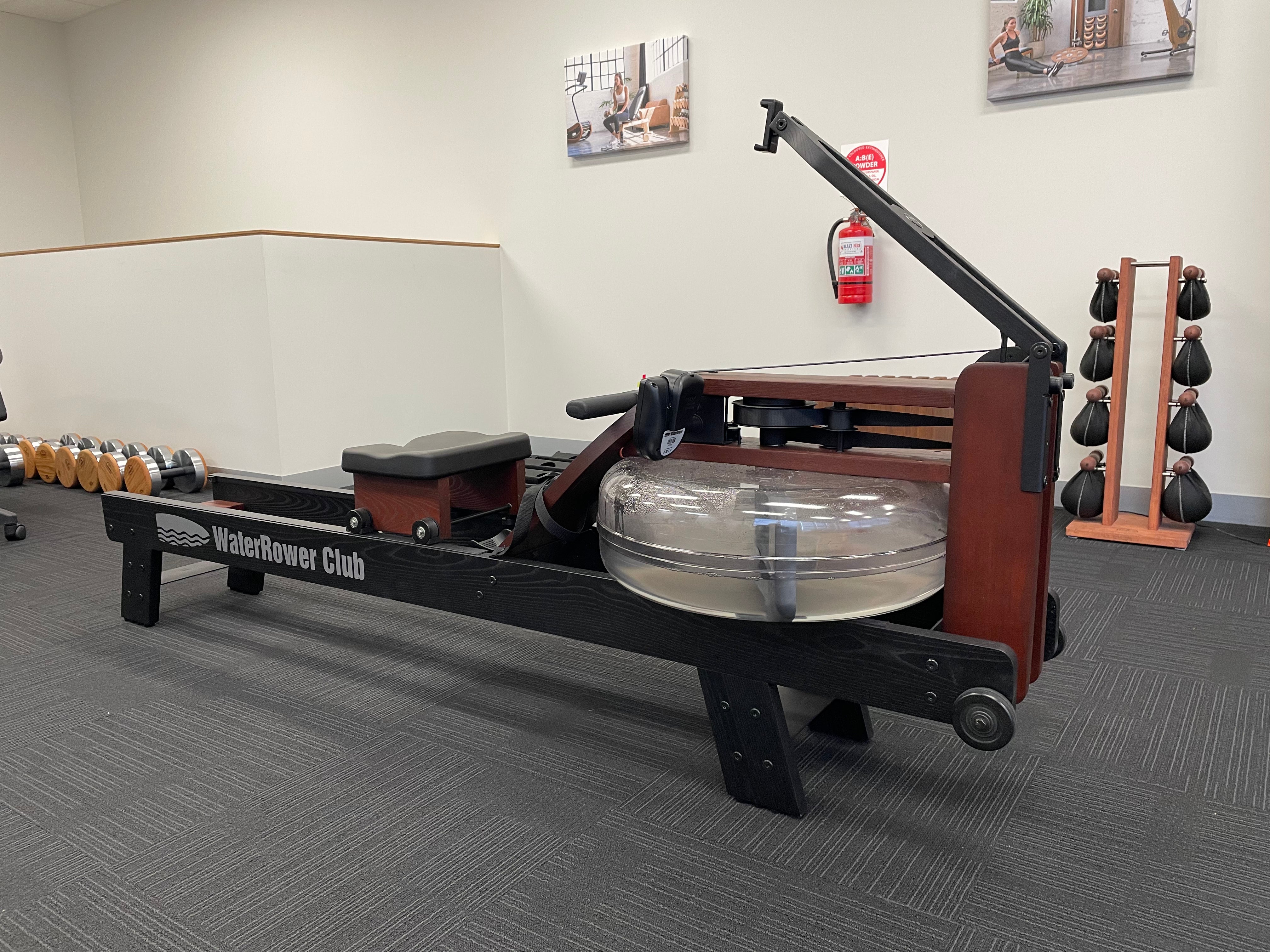 WaterRower Club Professional with S4 Monitor