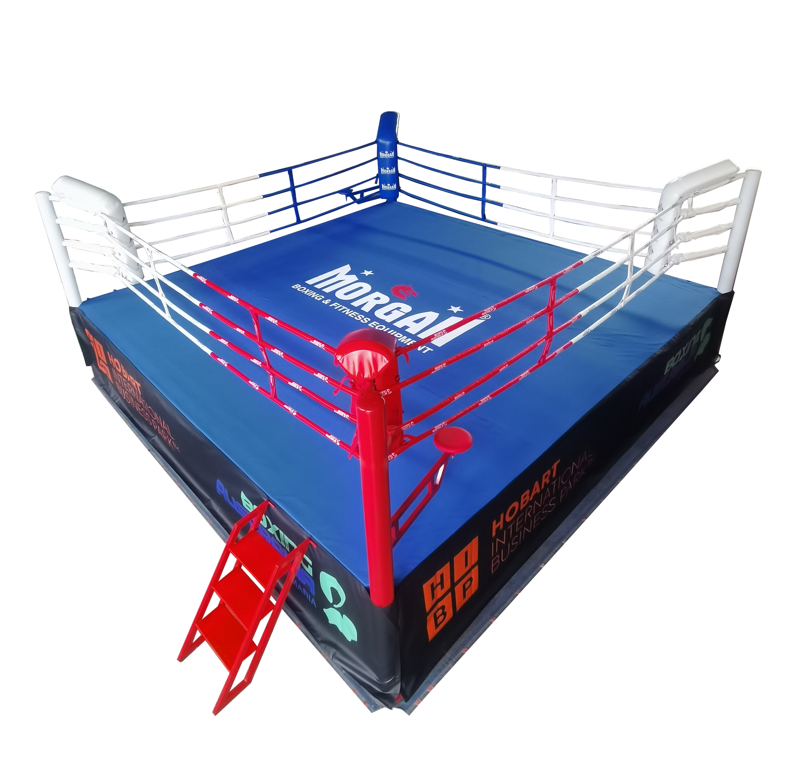 MORGAN CUSTOM RAISED BOXING RING | 6 METRES