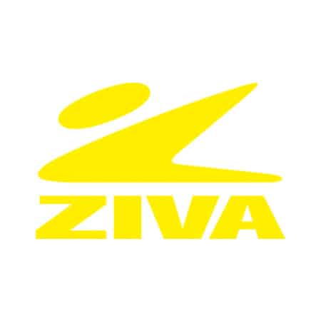 CLEARANCE ZIVA ZVO URETHANE BARBELL STRAIGHT