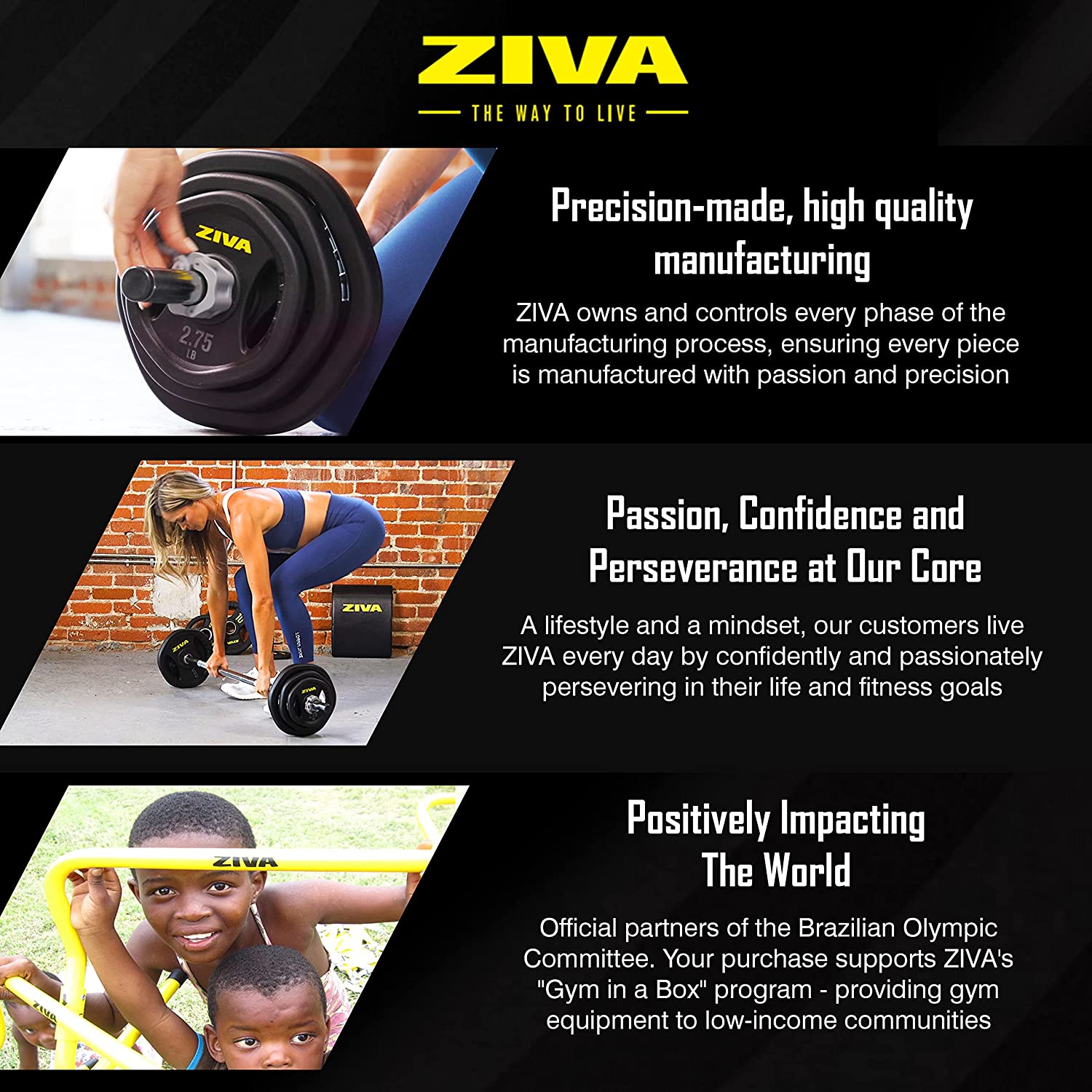 ZIVA ZVO PREMIUM RUBBER HEX STUDIO BARBELL PUMP SET