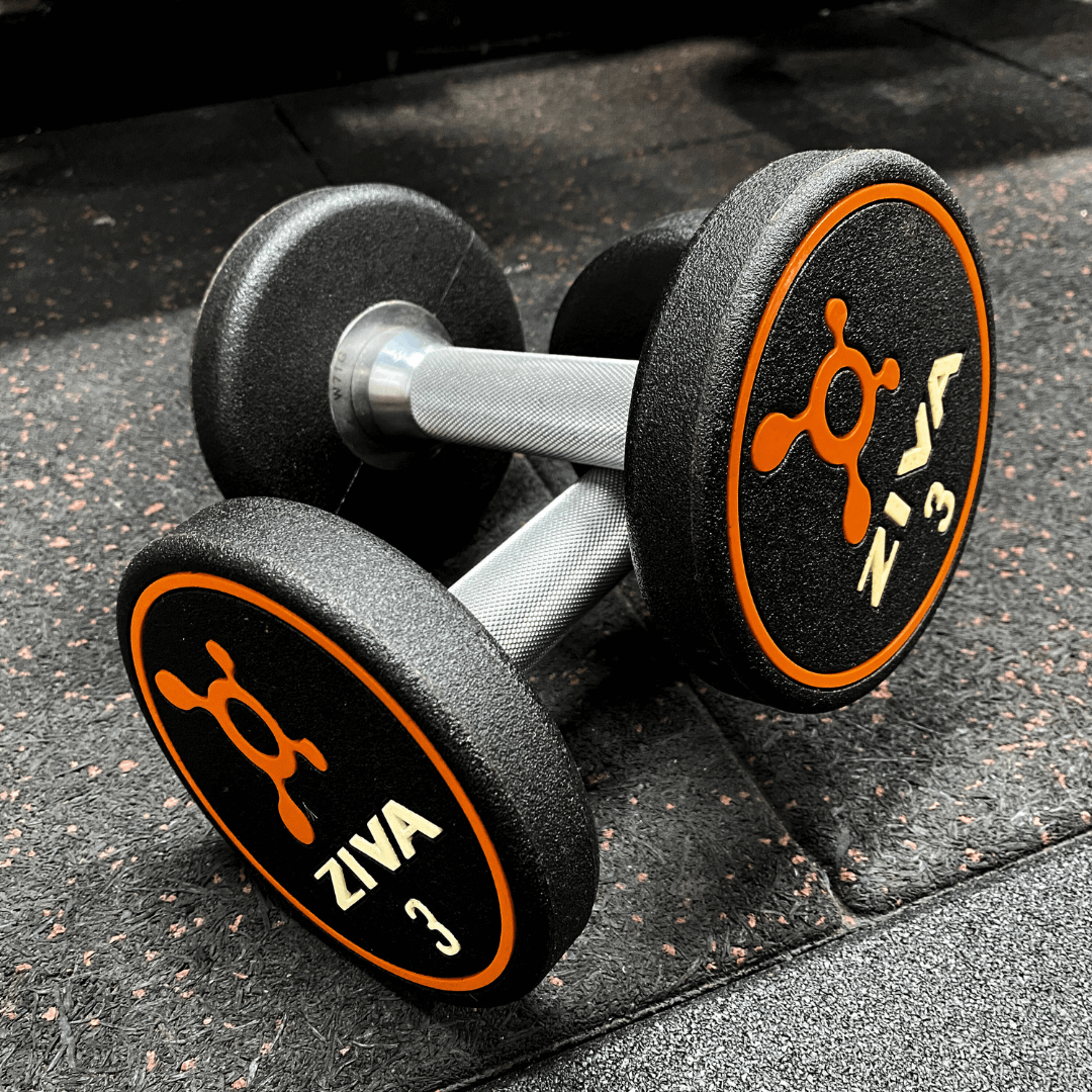 CLEARANCE: Ziva Premium Orange Dumbbells (Pair) - (3kgs & 4kgs available )
