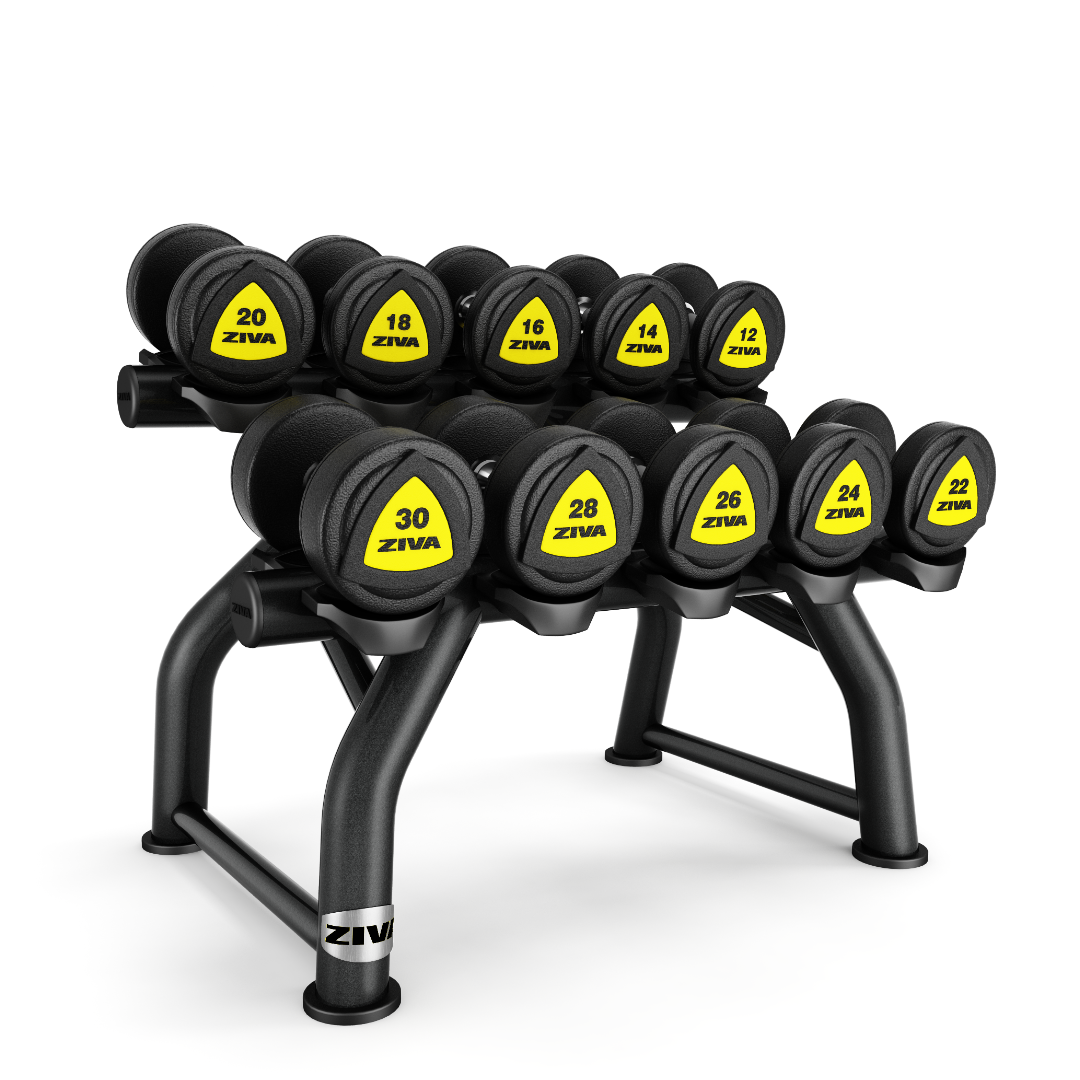 Ziva ST2 Commercial-Grade 5 Pair Horizontal Dumbbell Rack (Dumbbells Not Included)