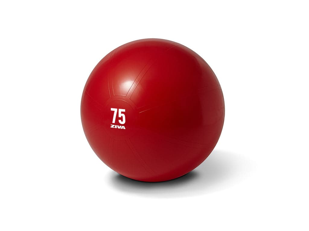 Special - Ziva Commercial-Grade Anti-Burst Core Fit Ball