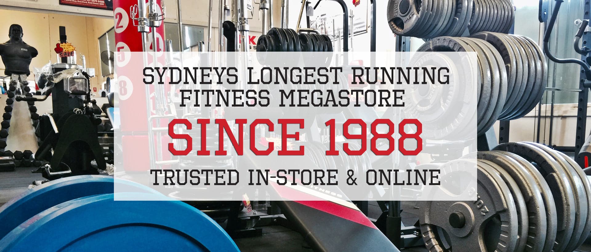 Morgan Aventus Foam Round Shield