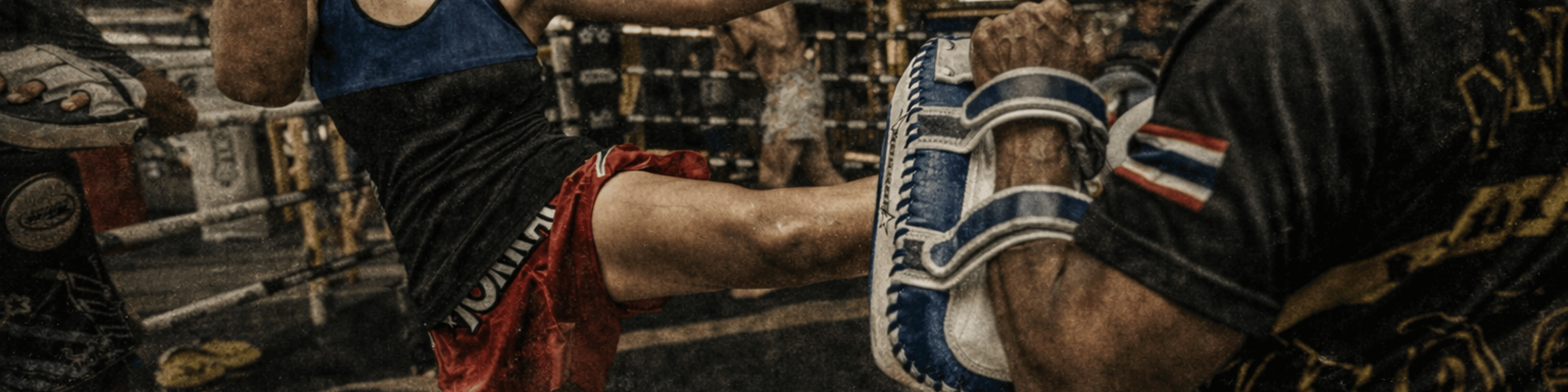 Focus Pads Musclemania Fitness MegaStore