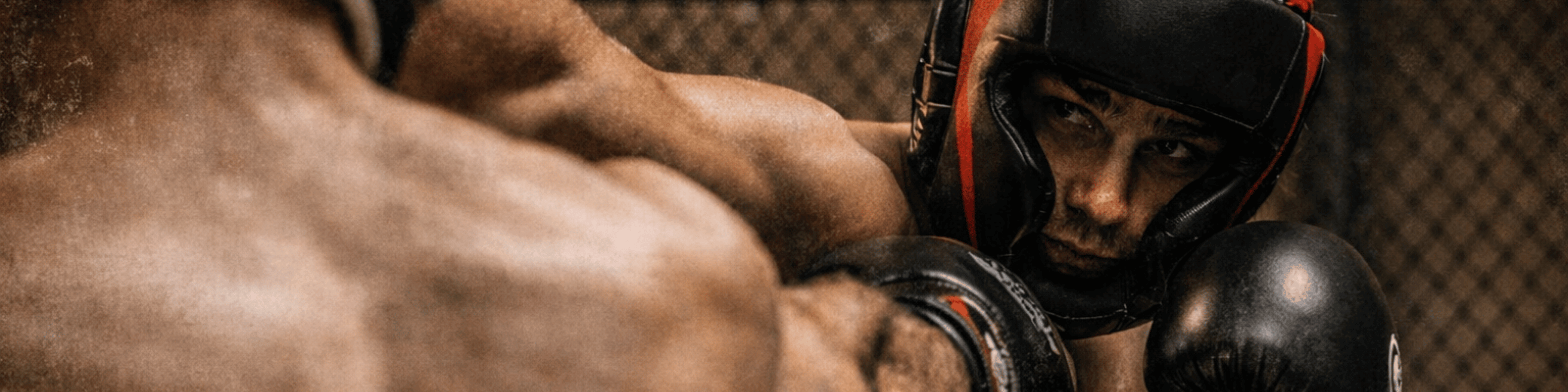 Body Protectors Australia | Boxing, MMA & Muay Thai Body Protection