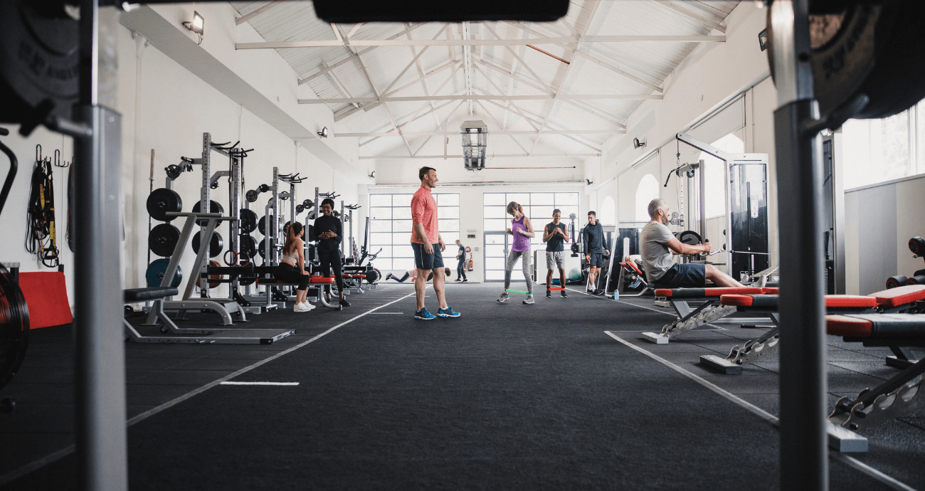 Studio Equipment Musclemania Fitness MegaStore