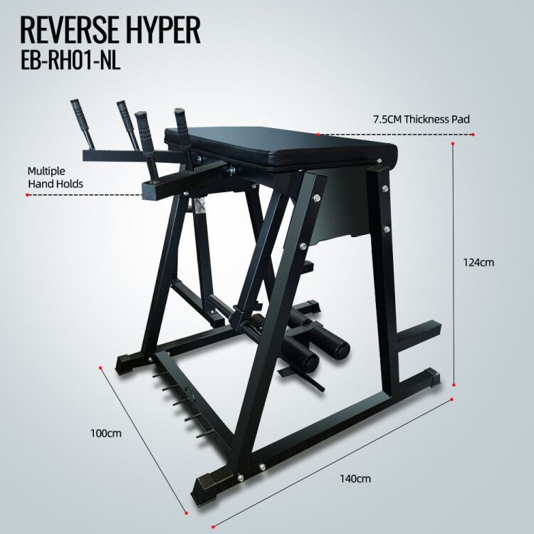 Back Extension Used Reverse Hyper Machine Reverse Hyper AlphaFit
