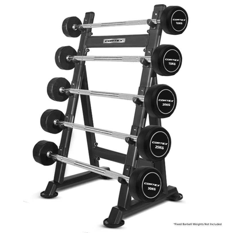 FIXED BARBELL STAND (HOLDS 5 BARBELLS)