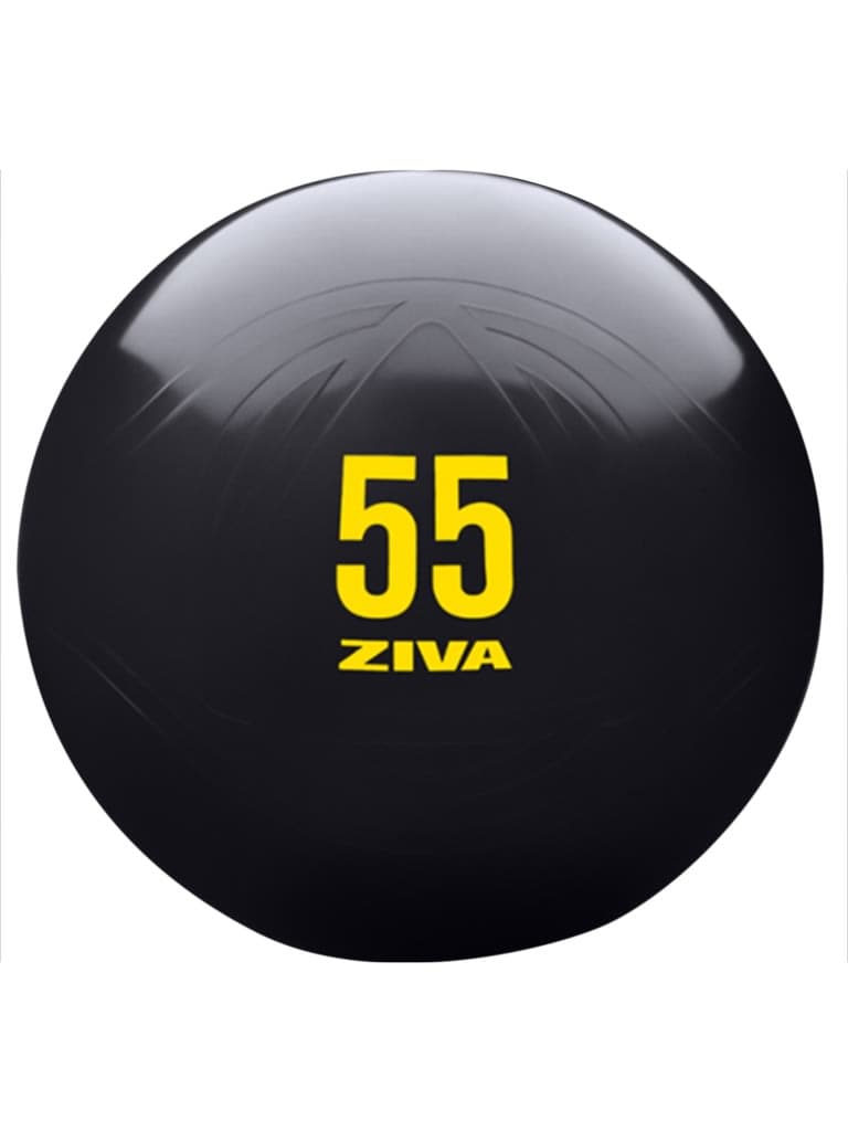 Special - Ziva Commercial-Grade Anti-Burst Core Fit Ball