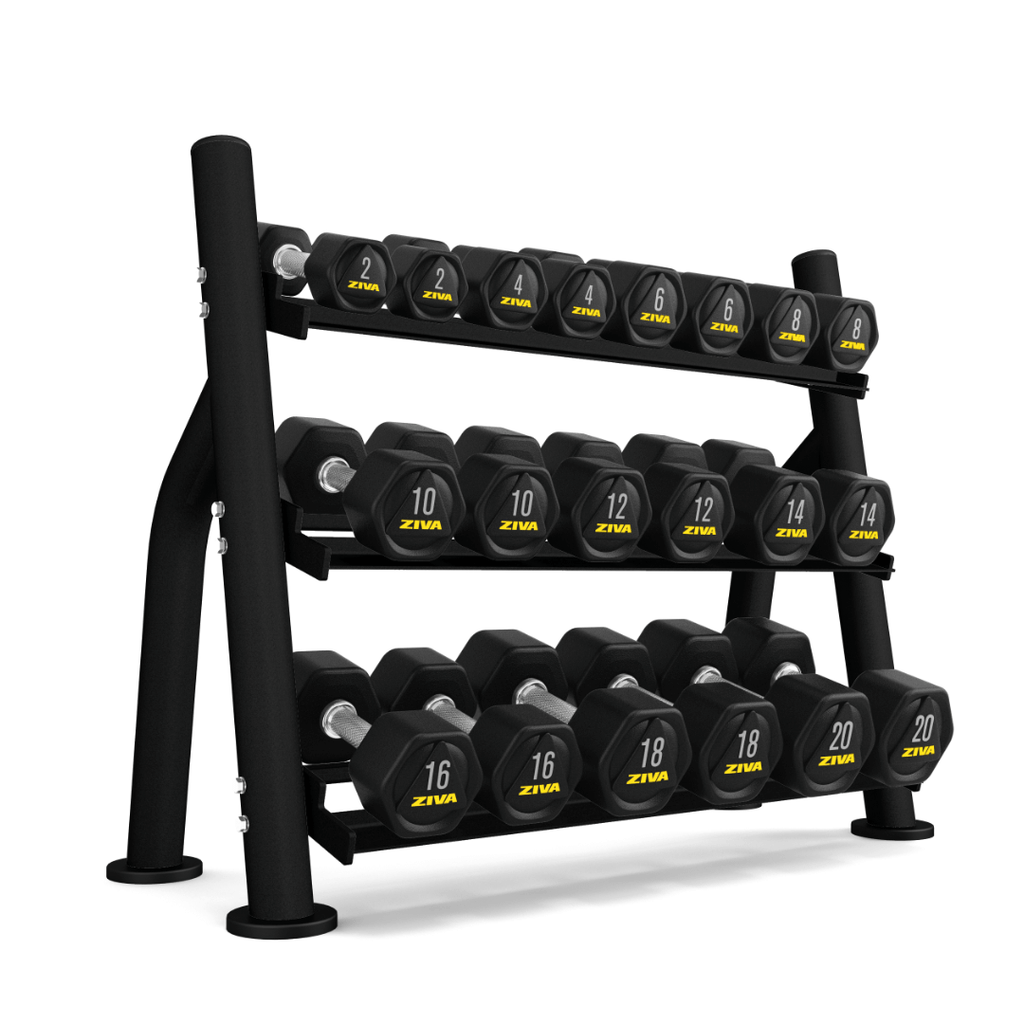 CLEARANCE- Ziva ST2 Commercial-Grade 10 Pair Dumbbell Storage Rack (Ra
