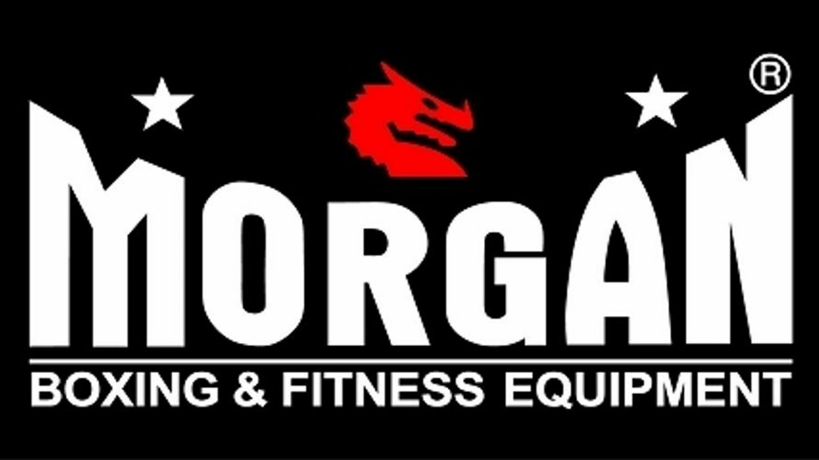 Morgan Classic MMA Gloves