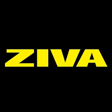 SALE:  ZIVA Fitness Adjustable Hurdle for Core, Speed Training – Football, Soccer, Basketball, Track Equipment