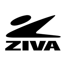 Ziva SL Commercial-Grade 1-10kg Hexagon Dumbbell Rack (Dumbbells Not Included)